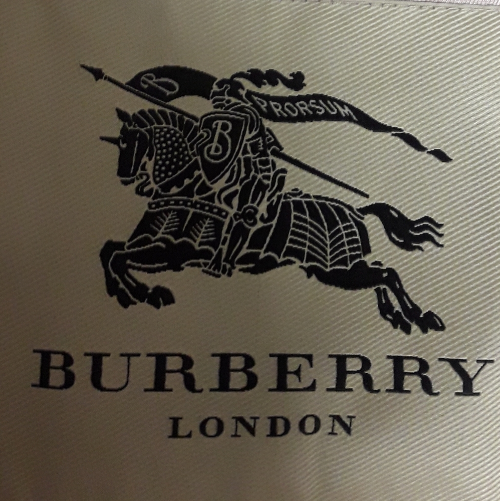 Burberry Pastel Pink Trench Coat with Belted Waist and Pointed Collar